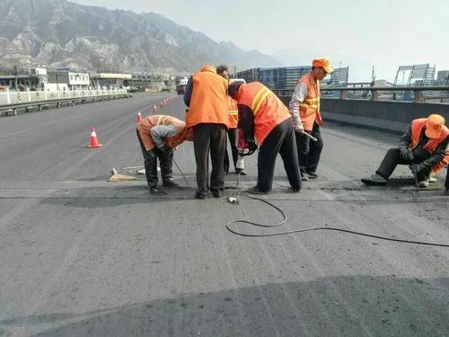 苏尼特左道路桥梁病害治理